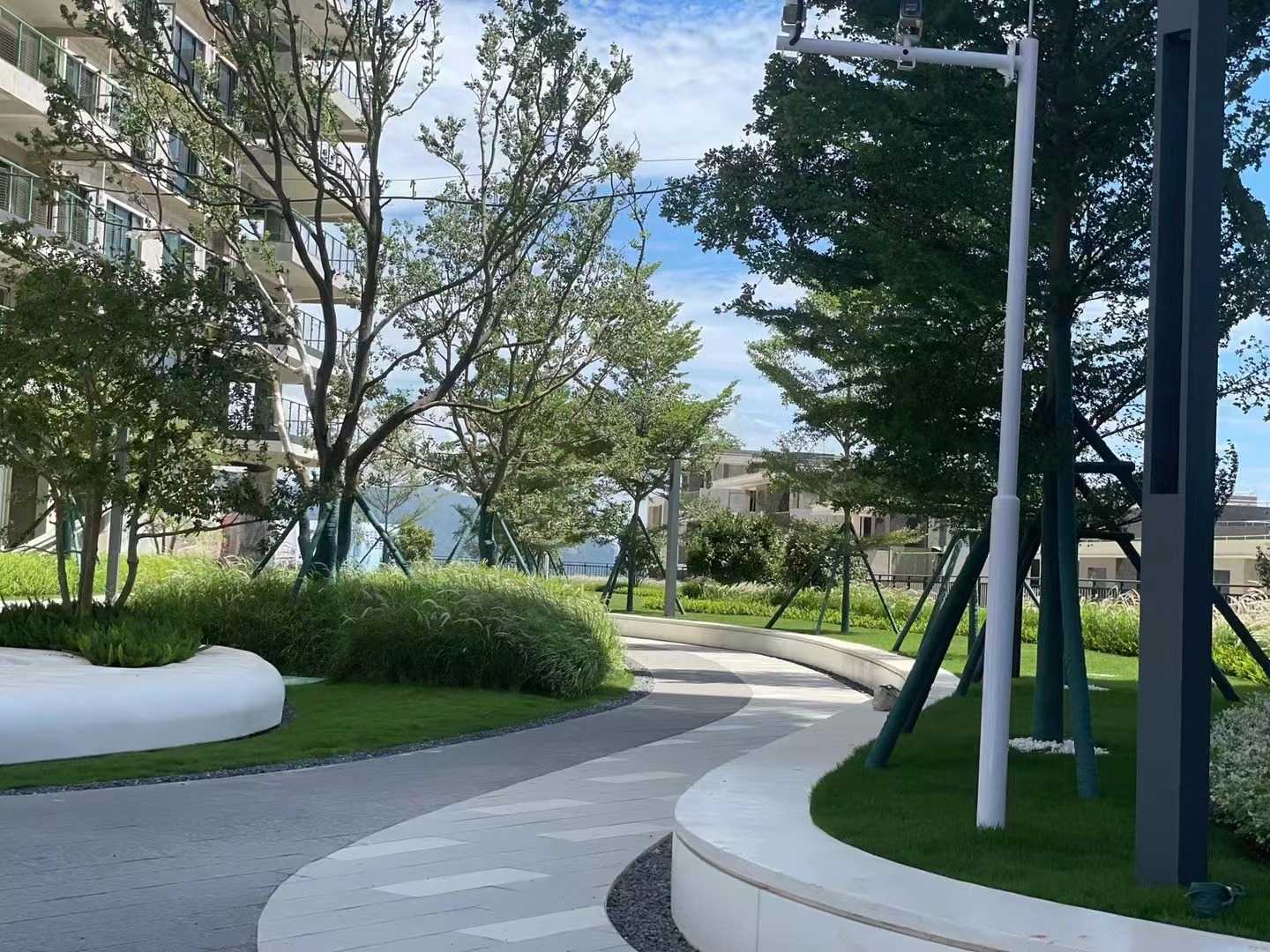 实景图