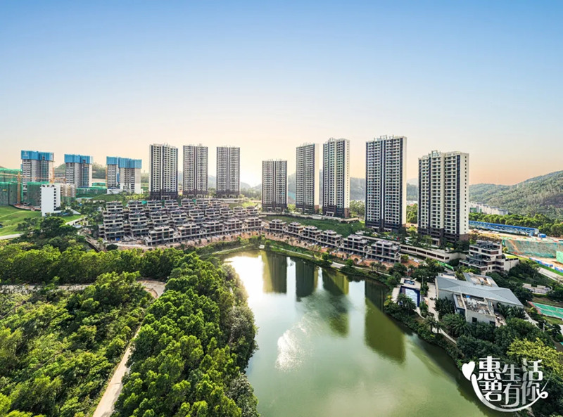 实景图