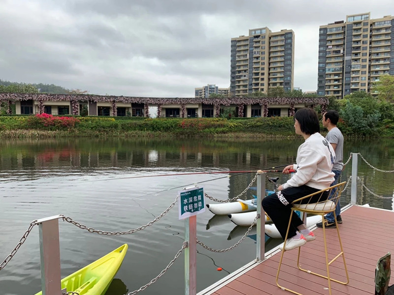 实景图