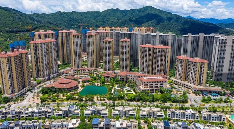 实景图