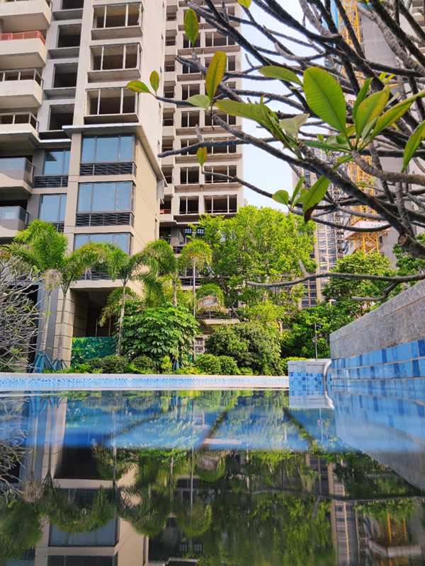 实景图