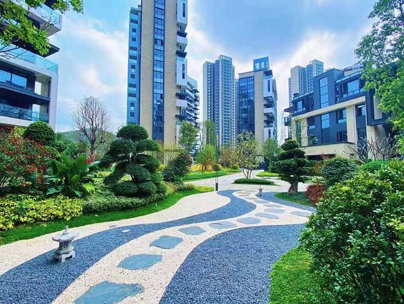 实景图