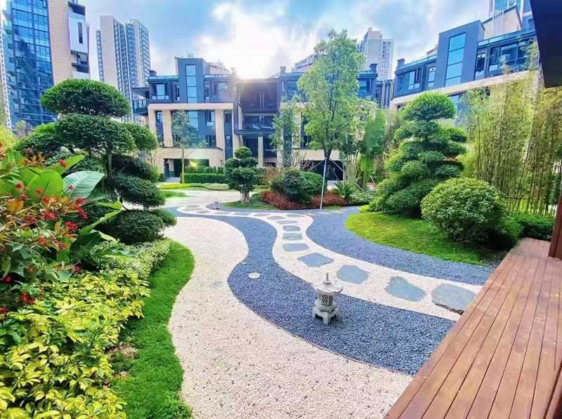 实景图