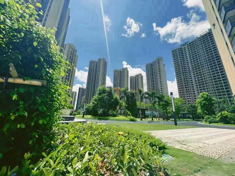 实景图