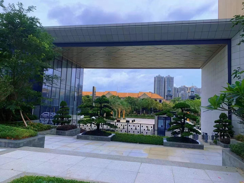 实景图