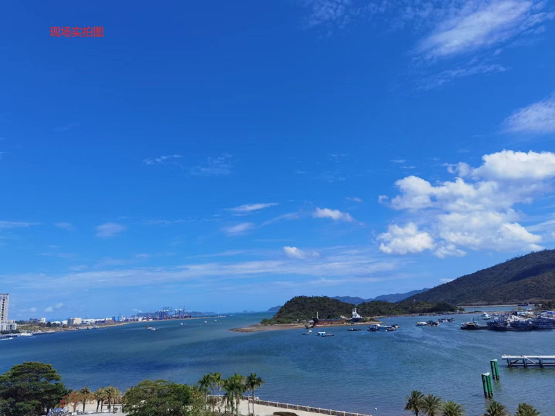 实景图